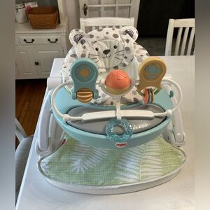Activity Seat with Toys